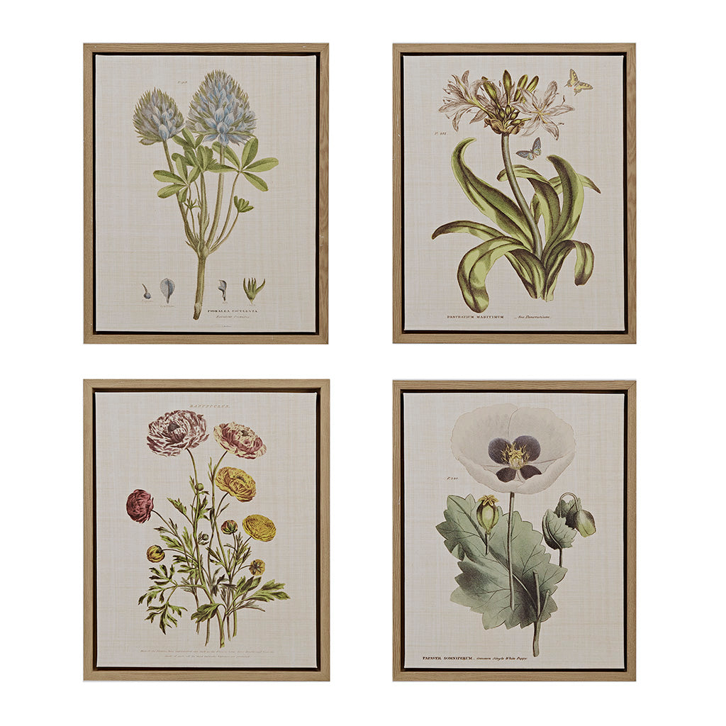 Herbal Botany 4-piece Botanical Illustration Framed Canvas Wall Art Set - Green