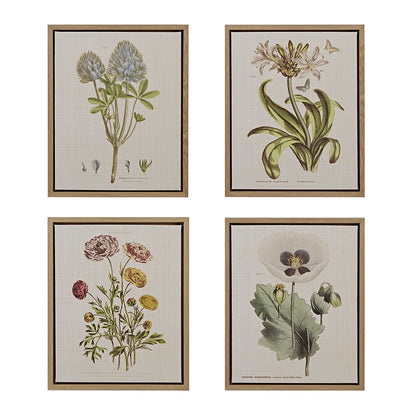 Herbal Botany 4-piece Botanical Illustration Framed Canvas Wall Art Set - Green