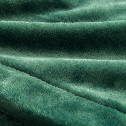 Plush Heated Blanket - Green