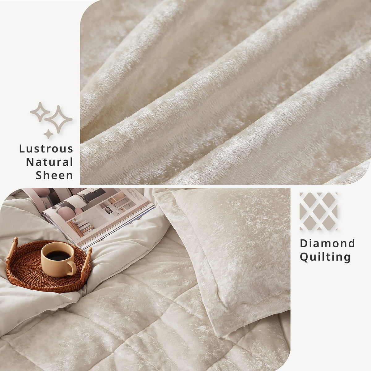 Felicia Velvet Comforter Set with Throw Pillow - Champagne