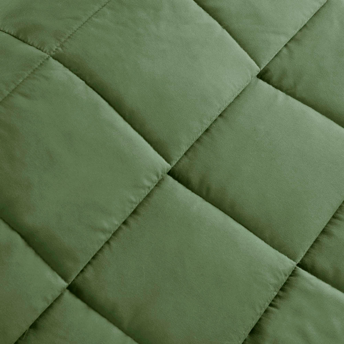Windom Lightweight Down Alternative Blanket with Satin Trim - Green