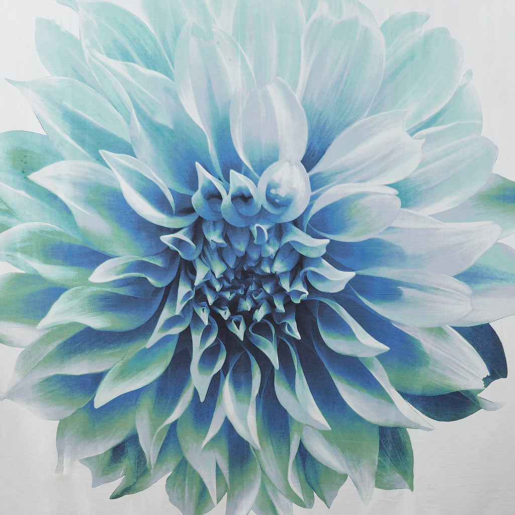 Norah Printed Floral Cotton Shower Curtain - Aqua