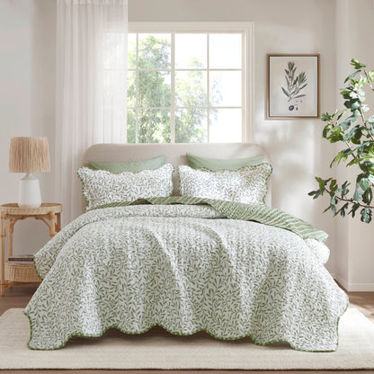 Darcy 3 Piece Print Quilt Set - Sage Green