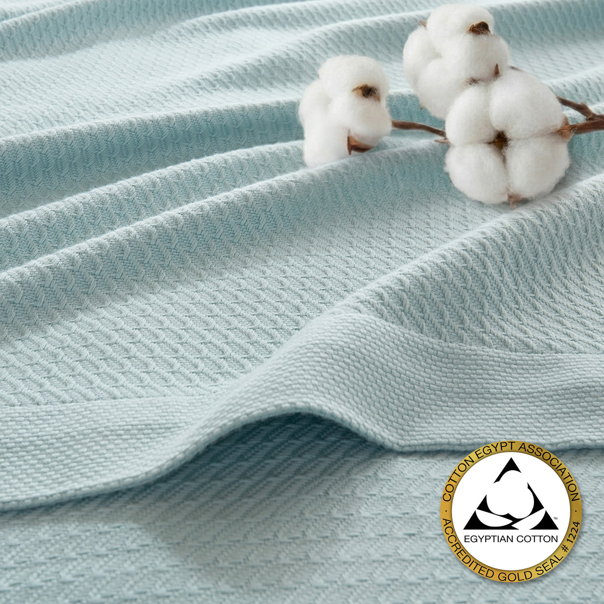 100% Certified Egyptian Cotton Blanket - Light Blue